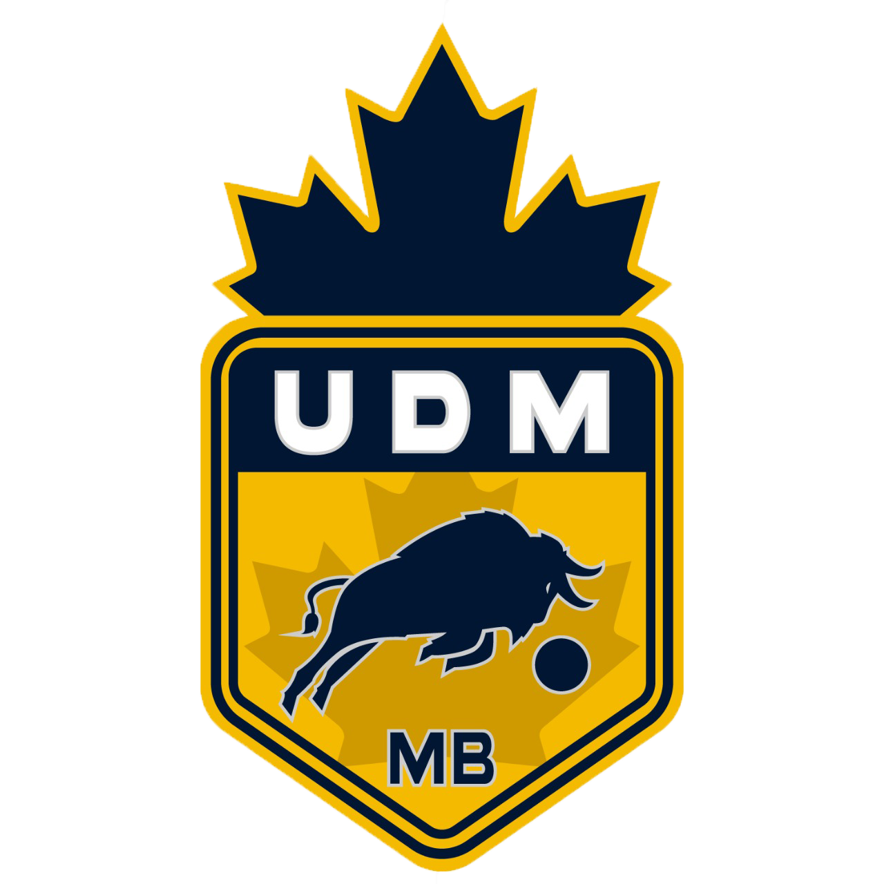 UDM